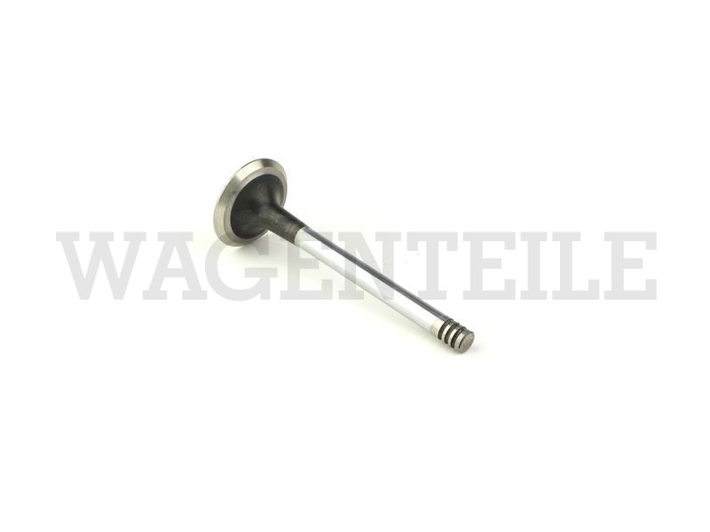 109 601 069 D Einlassventil 36/8mm
