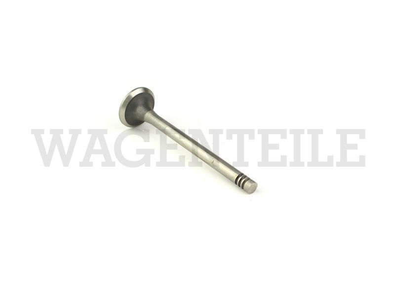 109 612 113 Auslassventil 30/8mm