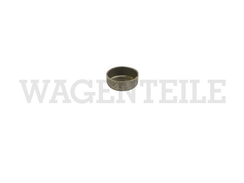 255 117 113 Stopfen Wärmetauscher Anschluss für Ansaugluftvorwärmung