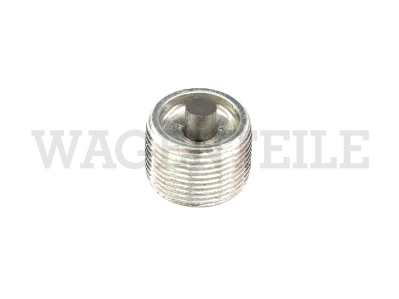 301 141 113 B Ölablassschraube magnetisch Getriebe (Innensechskant 17)