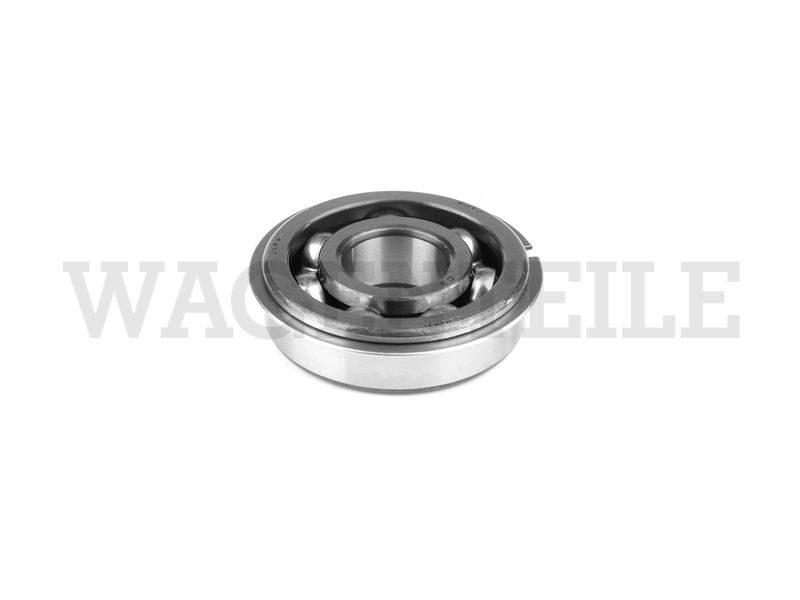 309 123 113 A Rillenkugellager mit Sprengring Antriebswelle vorn (teilsynchron)