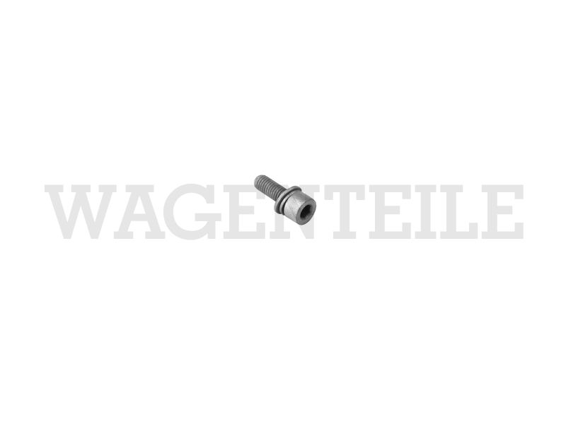 NO  090 151 1 Zylinderschraube M5x15 Innensechskant mit Scheiben/ Türgriff