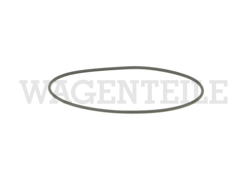 NO  901 683 01 Dichtring O-Ring Zylinder unten