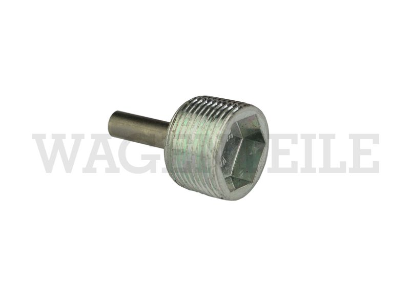 301 141 091 Ölablassschraube magnetisch Getriebe (Innensechskant 17)