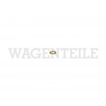 129 359 055 A Scheibe Gestänge Beschleunigerpumpe