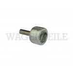 301 141 091 Ölablassschraube magnetisch Getriebe (Innensechskant 17)