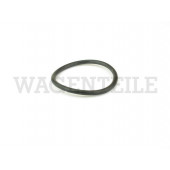 121 119 059 Dichtring O-Ring Wasserpumpe