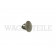 867 299 251 br /10 Clip Innenverkleidung, Sattelbraun (ca. 8mm) 10 Stück